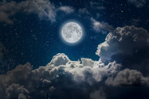 shutterstock_277238708