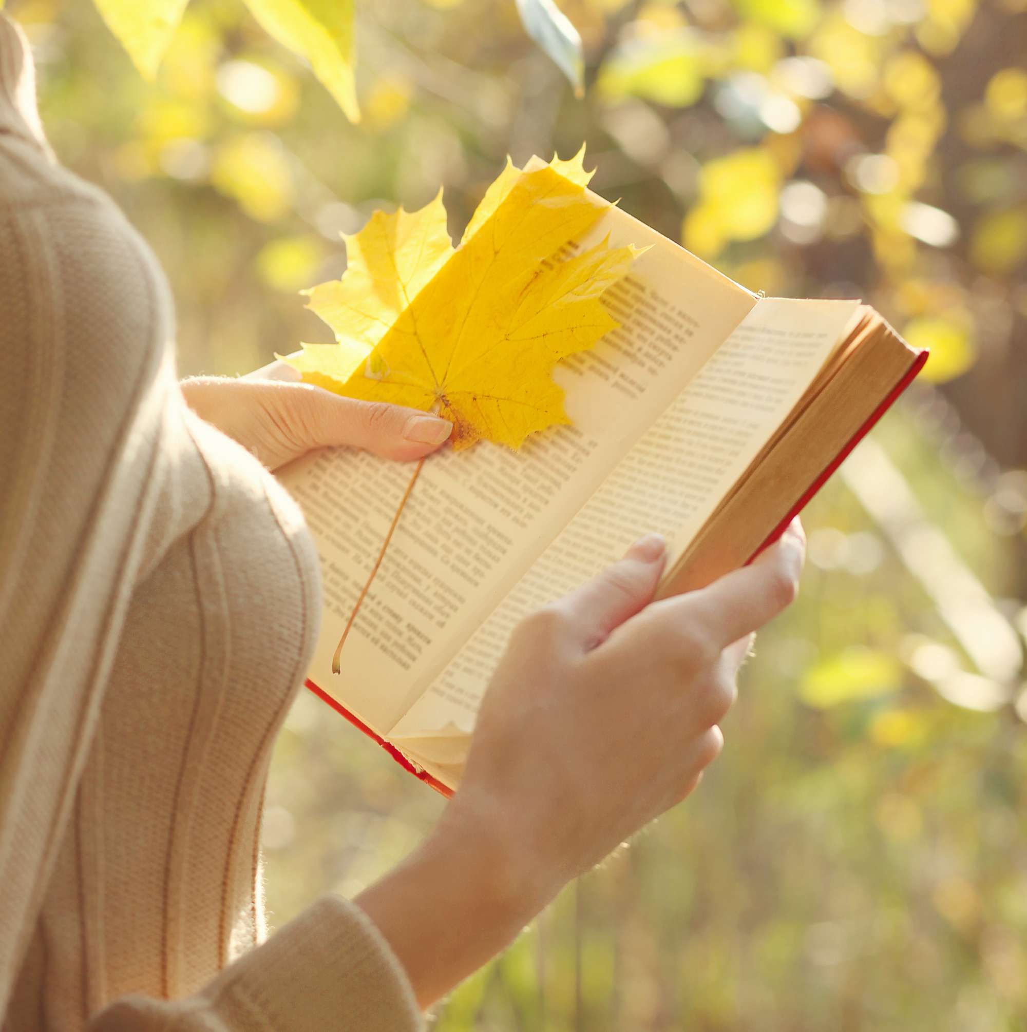 女性が黄色い葉っぱの付いたフランスについての本を読んでいます。