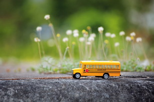 shutterstock_269732852