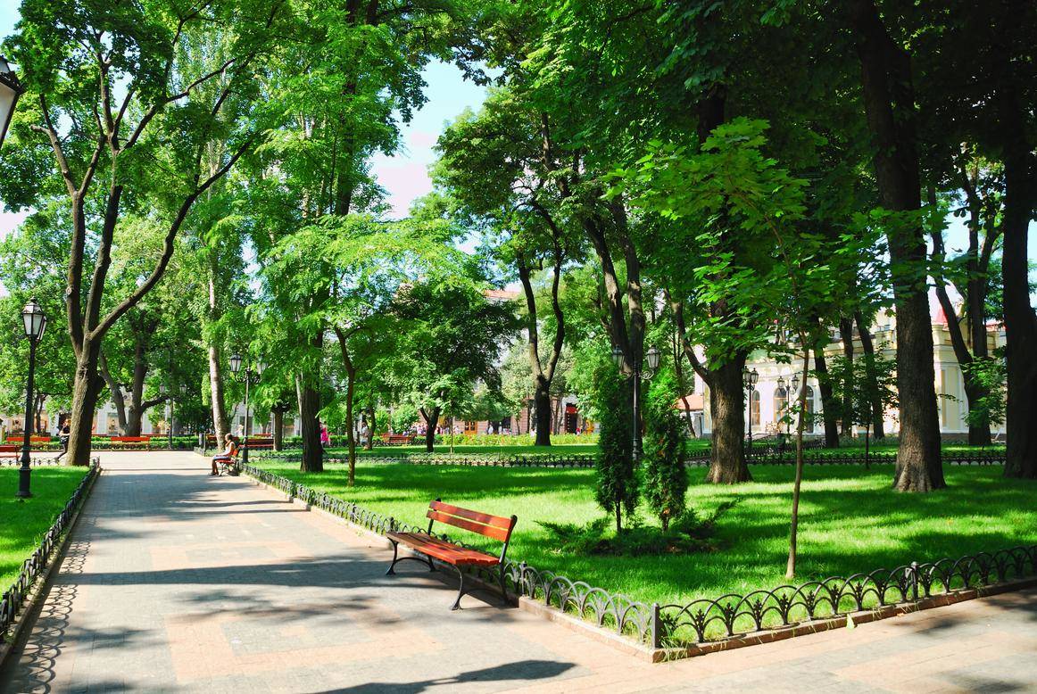 Un parc avec des bancs et des arbres en arrière-plan, inspiré de la beauté de la France.