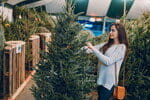 フランスの店で女性がクリスマスツリーを選んでいます。
使用キーワード: フランス (フランス)