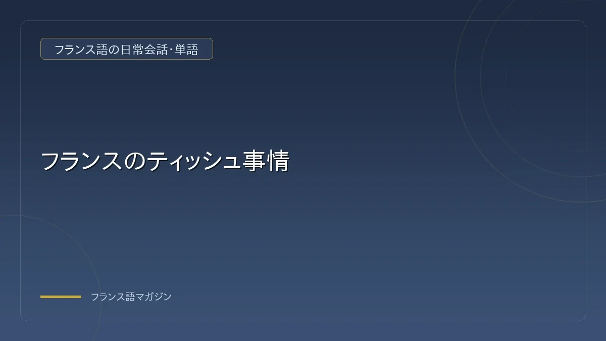 フランスの箱ティッシュとポケットティッシュ