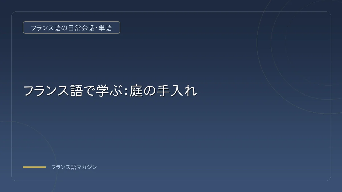 フランス語学習の総括
