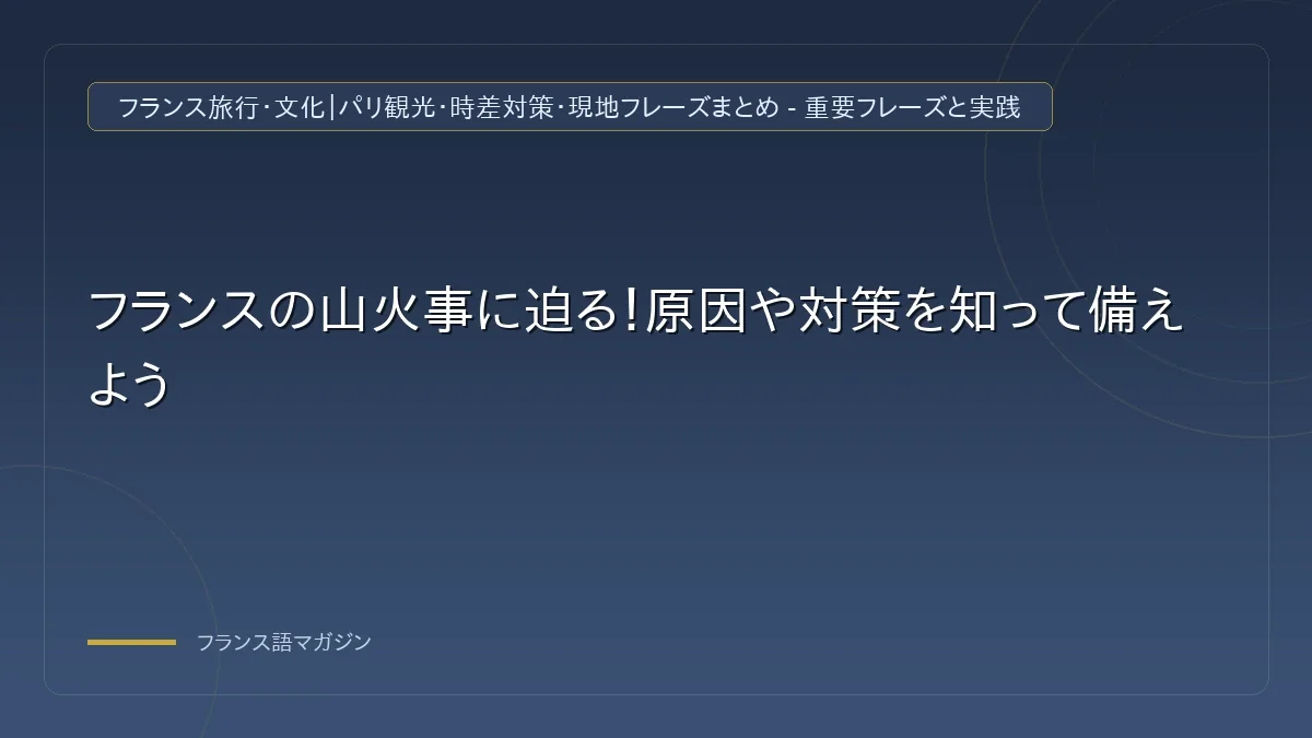 フランス南部の山火事と消防士