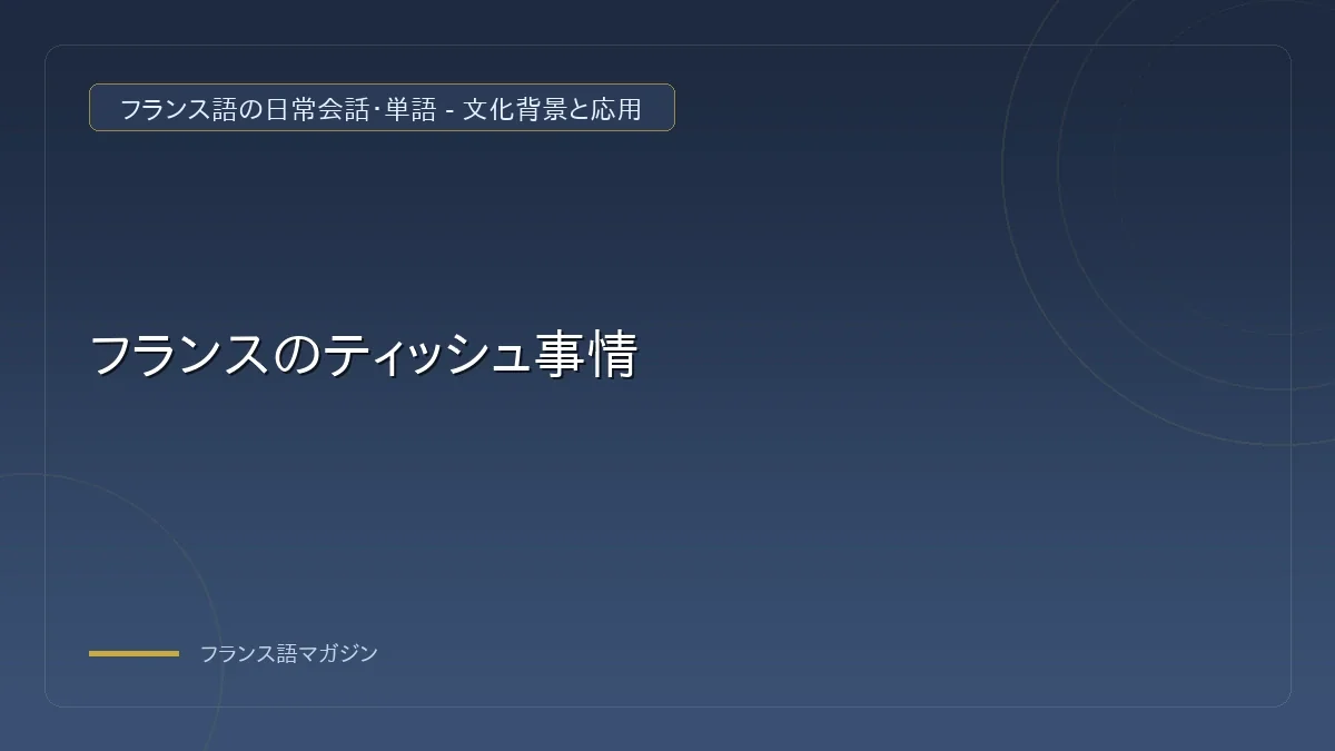 フランスのキッチンペーパー Sopalin