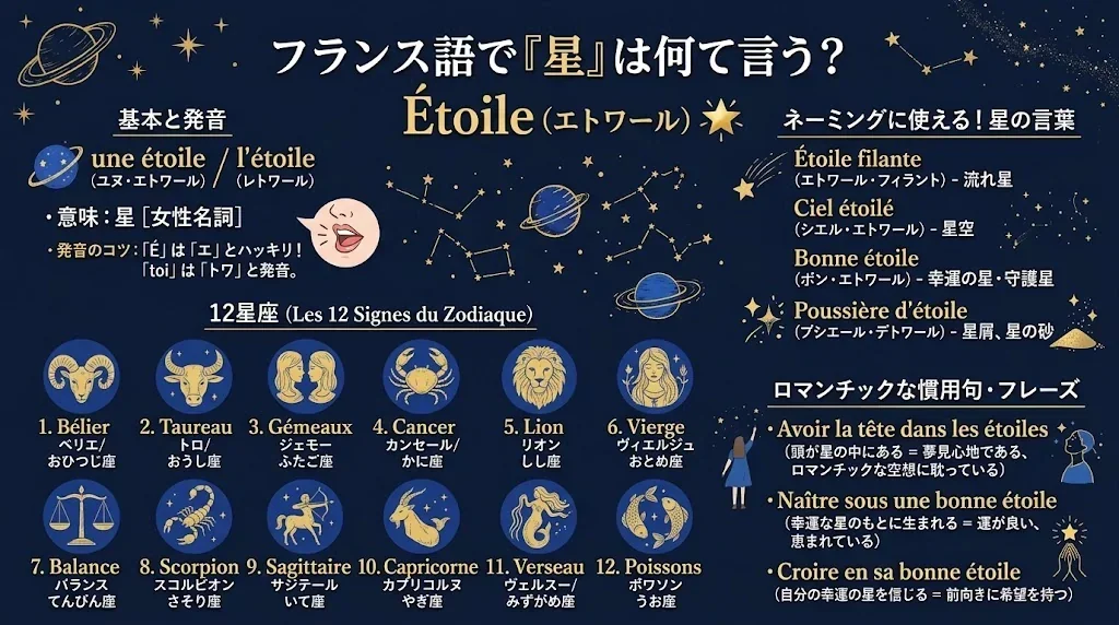 「フランス語で『星』はなんて言う？」というタイトルの教育用インフォグラフィック。「Étoile」という単語、発音ガイド、フランス語での12星座の一覧、そして星に関連する一般的なフランス語のフレーズが掲載されています。.